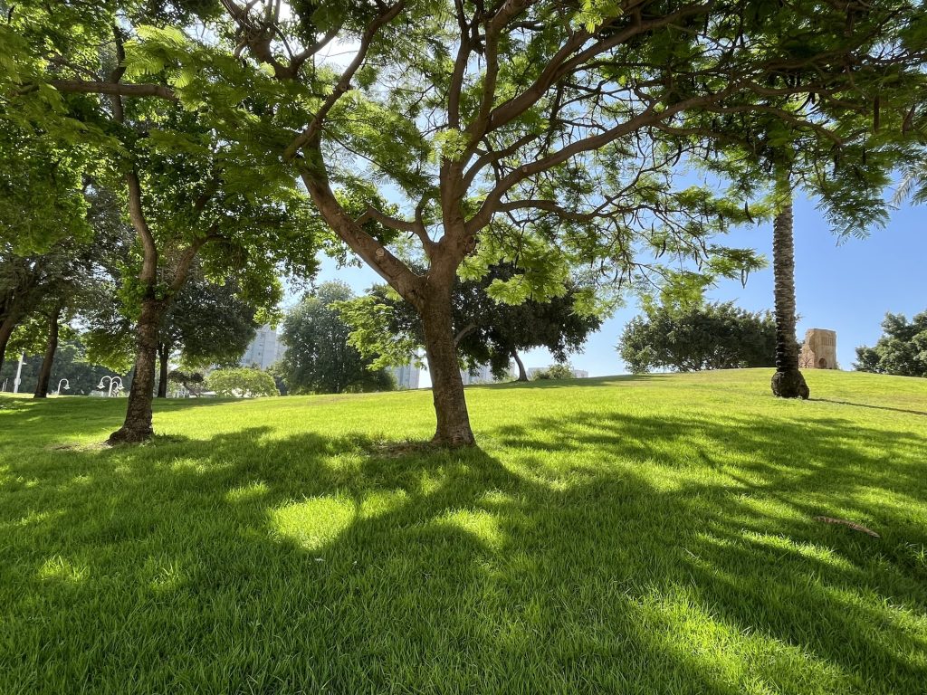 Trees